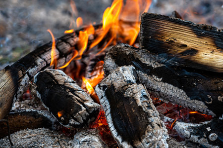 burning firewood, glowing logs, fire and flames closeup photo, burning wood for a barbecue