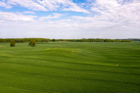 view from above to countryside with green agricultural fields, lonely trees and forestsの写真素材