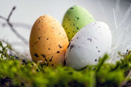 nest with colored Easter eggs isolated on a light defocused background, easter decorations, close up