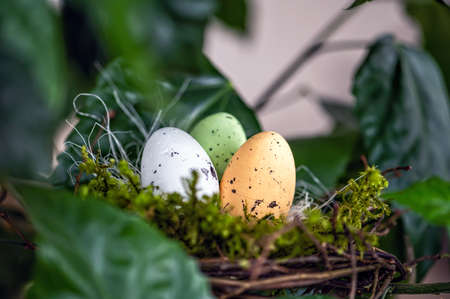 bird  nest with colorful Easter eggs on branches of green trees, easter decoration, selective focusの写真素材