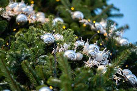 Christmas fir tree branch covered with snow and decorated with colorful bauble outdoors, closeupの写真素材