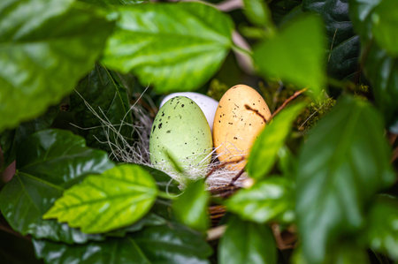 bird  nest with colorful Easter eggs on branches of green trees, easter decoration, selective focusの写真素材