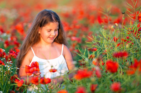 pretty little girl wearing white dress in summer blooming poppy field walking under evening sunの写真素材