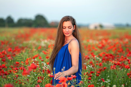 portrait of elegant young woman with long hair in poppy field in evening sunlightの写真素材