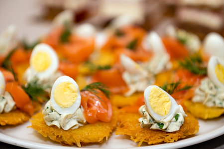 Close-up of appetizers of potato pancakes, eggs and seafood lined up on party tableの写真素材