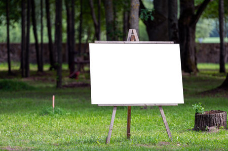 Wooden easel with blank canvas in park, mockupの写真素材
