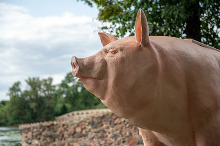 A pig sculpture-bench on a hill in Pakruojis manor park, closeup, Lithuaniaの写真素材