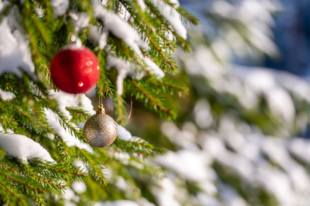 Christmas tree with snow and Christmas ball, festive, winter background with bokeh.の写真素材