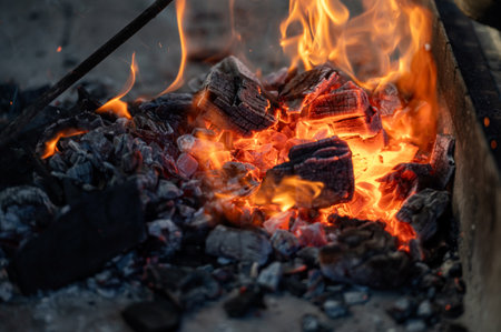 Burning coals in a campfire close-up. Selective focus.の写真素材