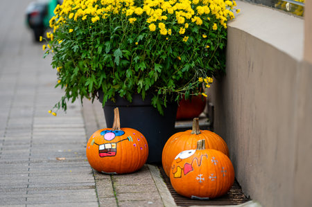 Halloween pumpkins with funny face and yellow flowers on the streetの写真素材