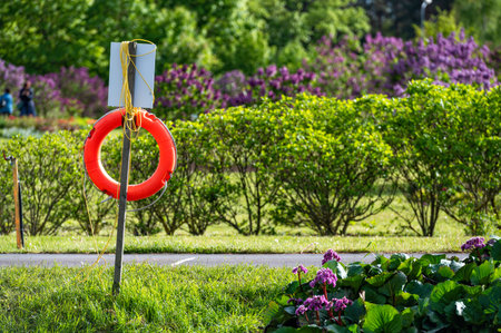 A lifebuoy by a waterhole in a park on a sunny summer day. Lifebelt in the park.の写真素材