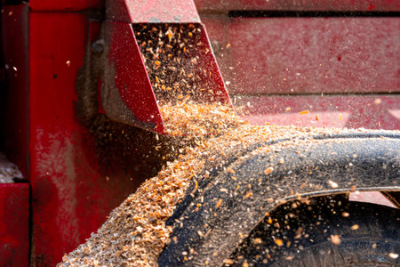 Output of wood chips from the wood chipper, close-up, selective focus