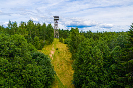 Wooden observation tower in Paganamaa, Rouge Parish, Estonia, aerial drone view