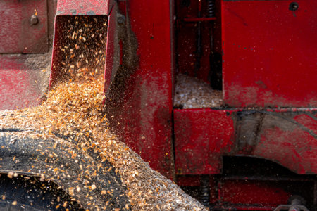 Output of wood chips from the wood chipper, close-up, selective focusの写真素材