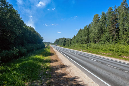 Empty road flanked by trees under a clear blue sky.