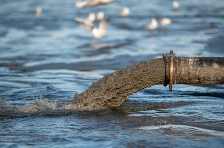 Beach restoration using a sand transfer system in Engure, Latviaの写真素材
