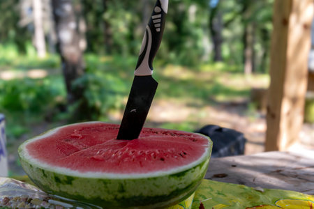 A knife is placed upright in a slice of watermelon, set against a lush forest backdrop.の写真素材
