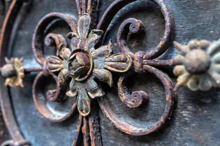 Ornate wrought iron gate with intricate floral designs, standing against a weathered wooden backgroundの写真素材
