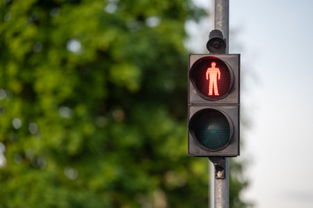 Red pedestrian light signals stop with green trees in the background. Shallow depth of feldの写真素材