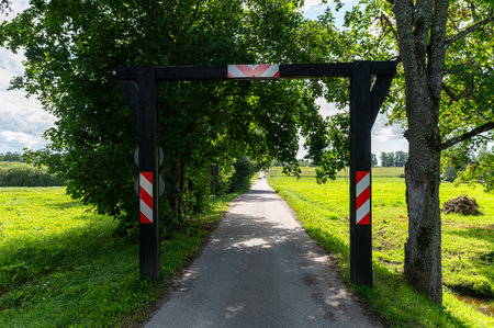 A serene country road lined with trees and greenery invites exploration under bright skies.の写真素材