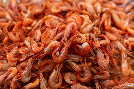A large mound of vibrant orange shrimp fills the display at a local seafood market.の写真素材