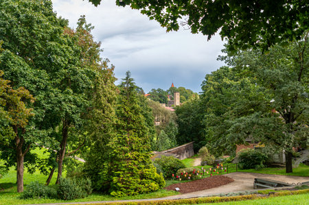 A serene park filled with trees, leading up to a castle tower under gray skies.の写真素材