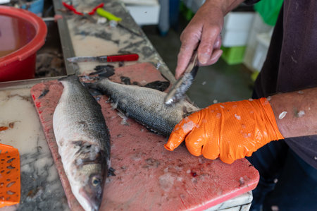 Fish processing activity at a market stall with a person preparing fresh catchの写真素材