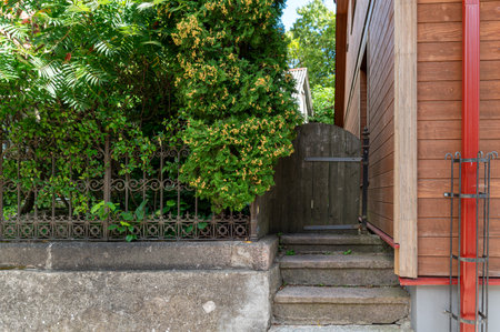 A quaint wooden gate is surrounded by lush greenery, inviting exploration of the backyard area.の写真素材