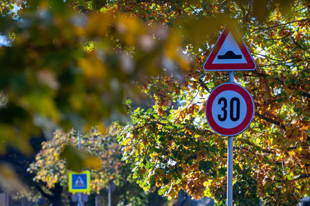 Traffic signs among autumn trees on a quiet street in the early afternoonの写真素材