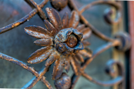 A detailed flower motif crafted from wrought iron decorates a vintage gate, reflecting soft light.の写真素材