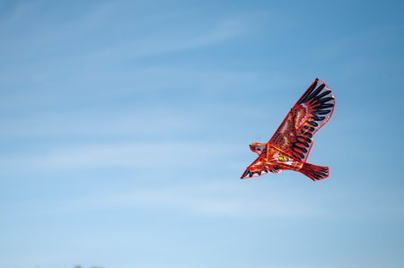 Colorful kite shaped like a hawk gracefully glides through the sky.の写真素材