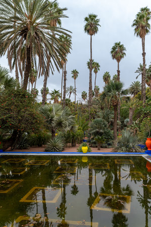 Lush garden filled with palm trees and colorful pots located in Morocco's tranquil setting.の写真素材