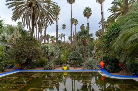 Serene palm garden showcasing tropical plants and vibrant colorsの写真素材