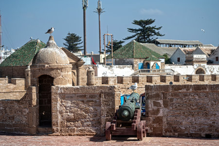 Bright blue sky overlooks historic cannons and seagulls at Essaouira's fortress walls.の写真素材
