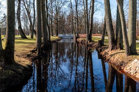 Calm waterway surrounded by trees and grass in a park setting on a sunny day.の写真素材