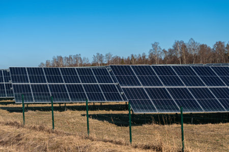Rows of solar panels harness sunlight in an open field surrounded by trees.の写真素材