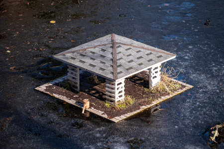 A small gazebo sits in the middle of a frozen pond, with some grass peeking through ice.の写真素材