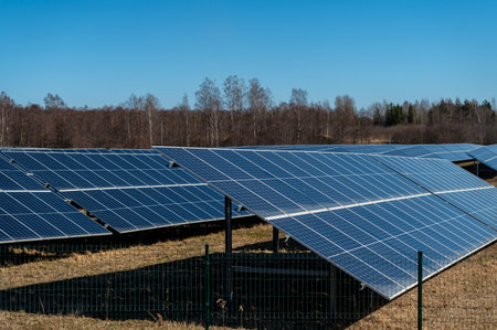 Rows of solar panels capture sunlight on a clear day in a rural setting.の写真素材