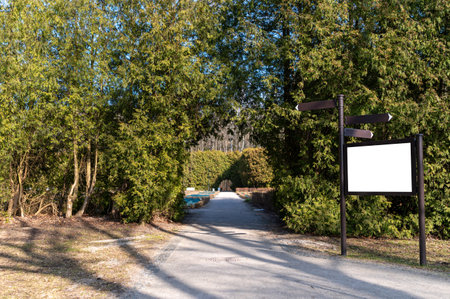 A clear path through trees leads to an outdoor space.の写真素材