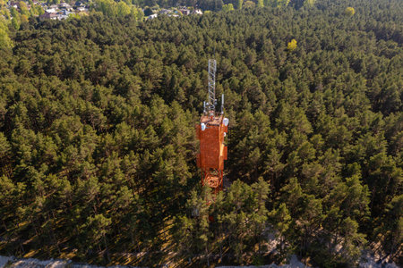 A tall communication tower rises above dense forest canopy on a sunny day.の写真素材