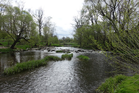 Gentle water meanders past verdant banks and trees on an overcast day in springtime nature.の写真素材