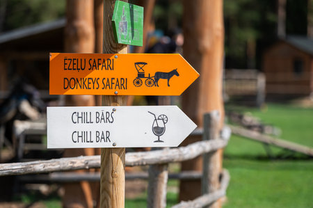 Directional signs guiding visitors to a safari experience and a chill bar in nature.の写真素材