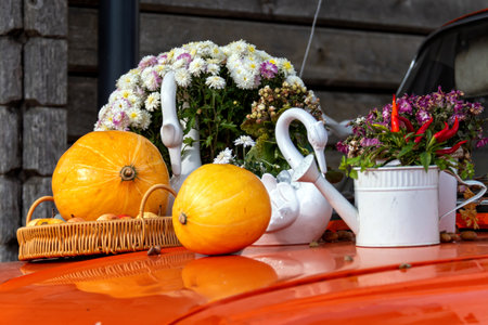 Colorful pumpkins and flower arrangements adorn the top of a vintage car on a sunny day.の写真素材