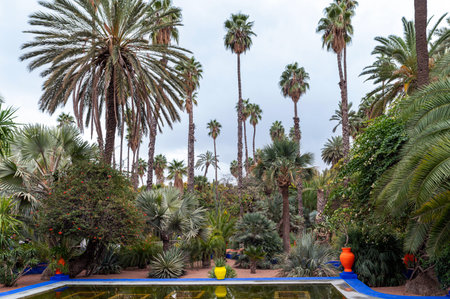 Lush garden filled with palm trees and colorful pots located in Morocco's tranquil setting.の写真素材