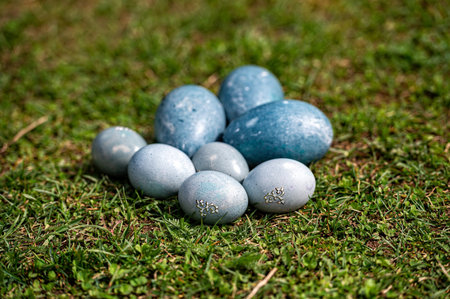 Decorative blue Easter eggs placed on vibrant green grass during a springtime gathering