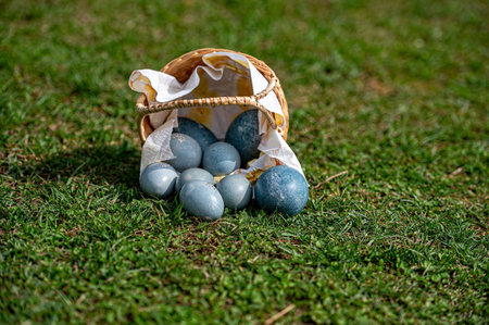 A woven basket spills various colorful eggs onto vibrant green grass under clear skies.の写真素材