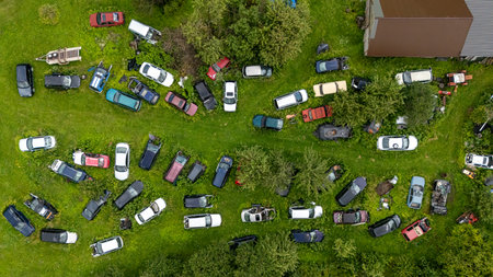 Numerous old vehicles are spread out over a green field surrounded by trees in daylight.の写真素材