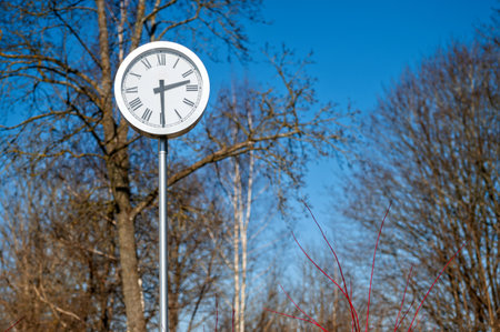 A clock shows the time while trees surround it on a bright day.