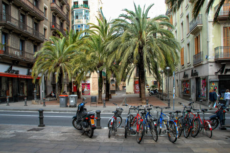 Barcelona, Spain - May 1, 2009: Bicycles lined up by a street with palm trees in the background in Barcelona near shopsのeditorial素材
