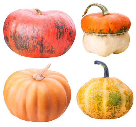 Group of four pumpkins isolatet in bsckgroundの写真素材